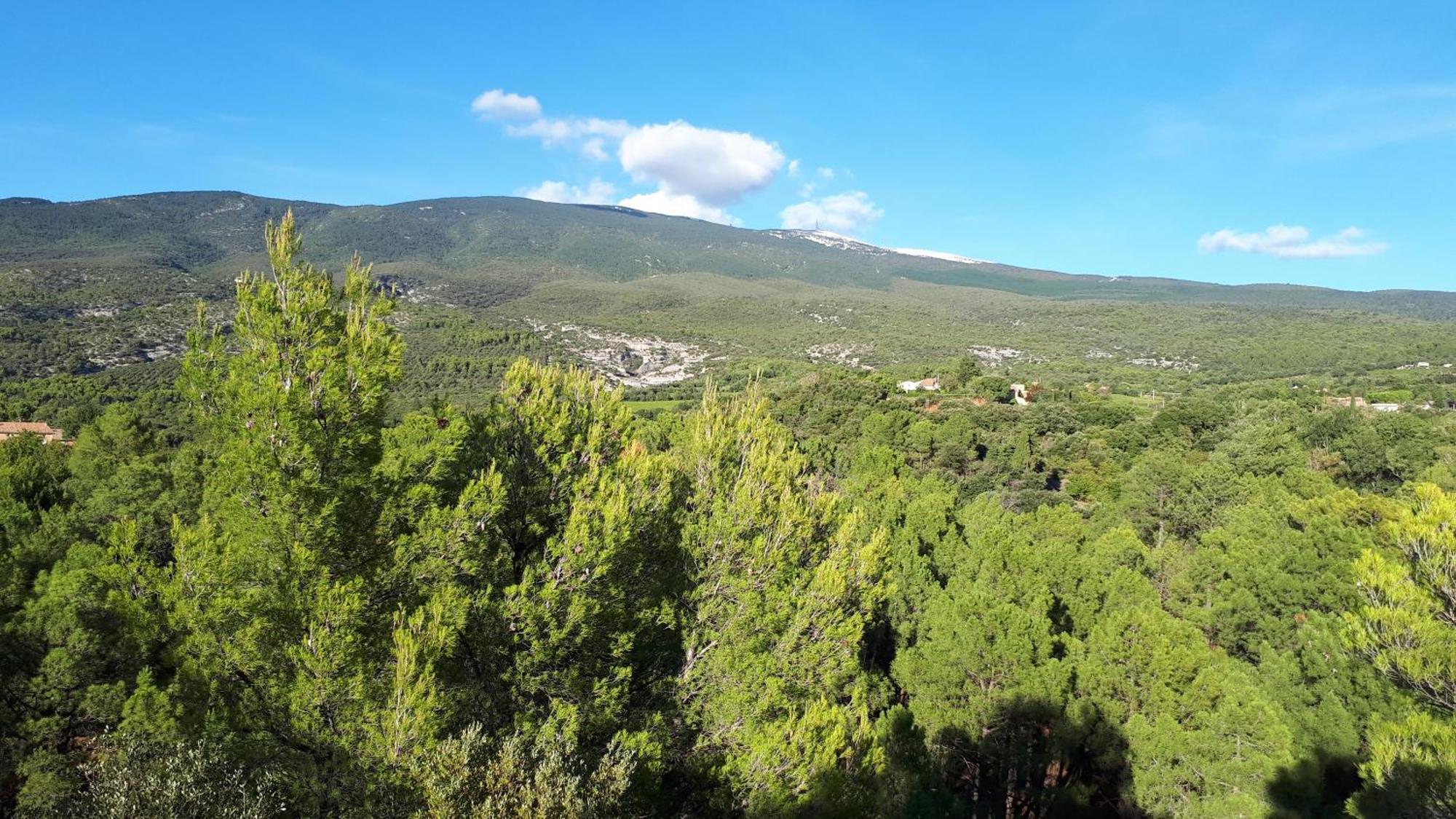 בדואן La Carriera, Petite Maison Sud Ventoux, Au Charme Provencal מראה חיצוני תמונה